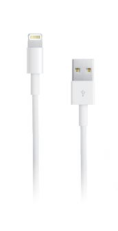 Apple Travel Charger